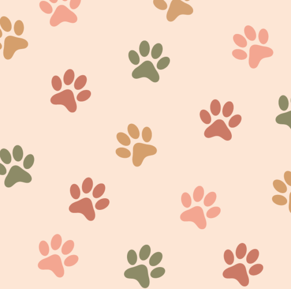 Boho Paw pattern